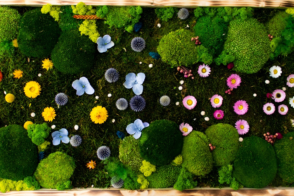 MAO Moos - Mooswerkstatt