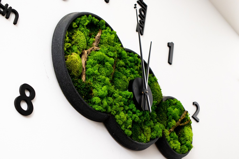 MAO Moos - Mooswerkstatt